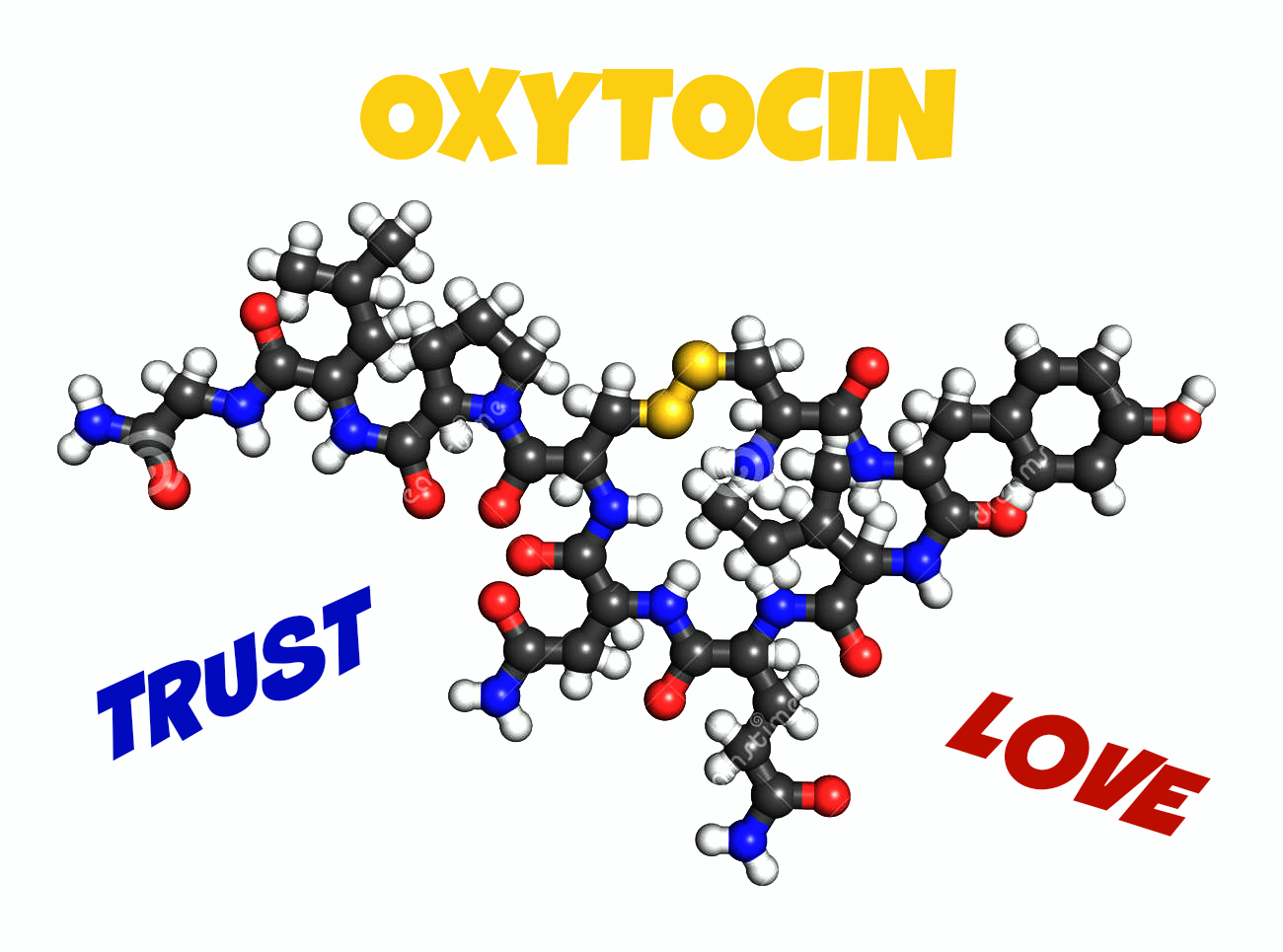 Окситоцин Купить