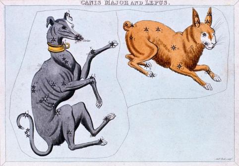 dog days of summer_dog and rabbit_ancient greeks_sirius Star